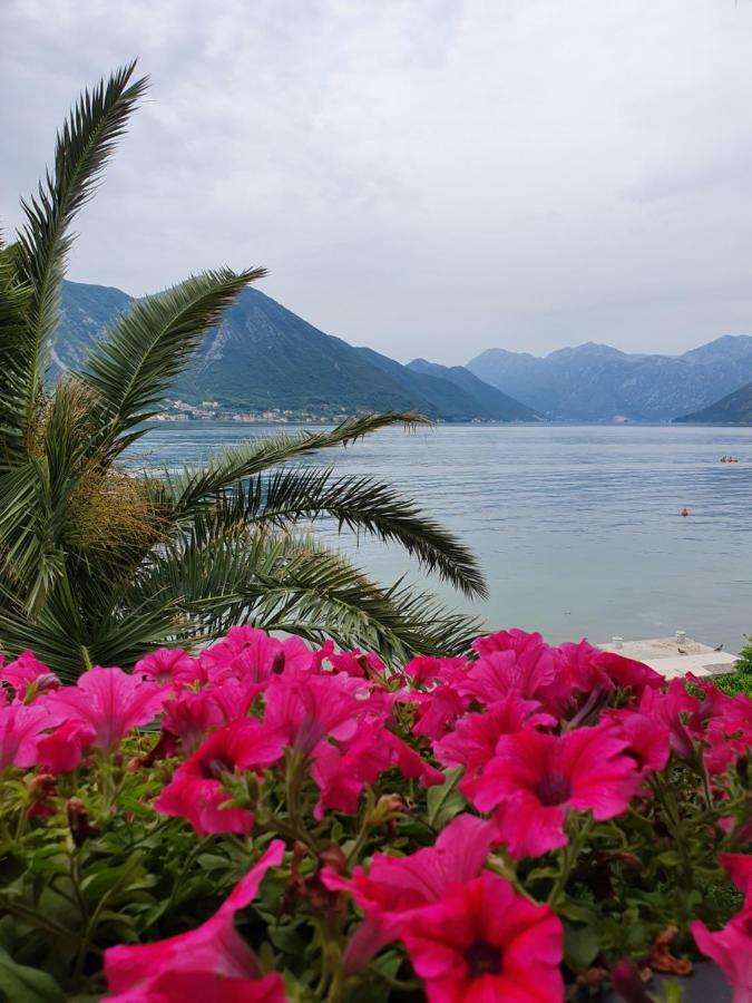 Apartment Maniva Kotor Quarto foto